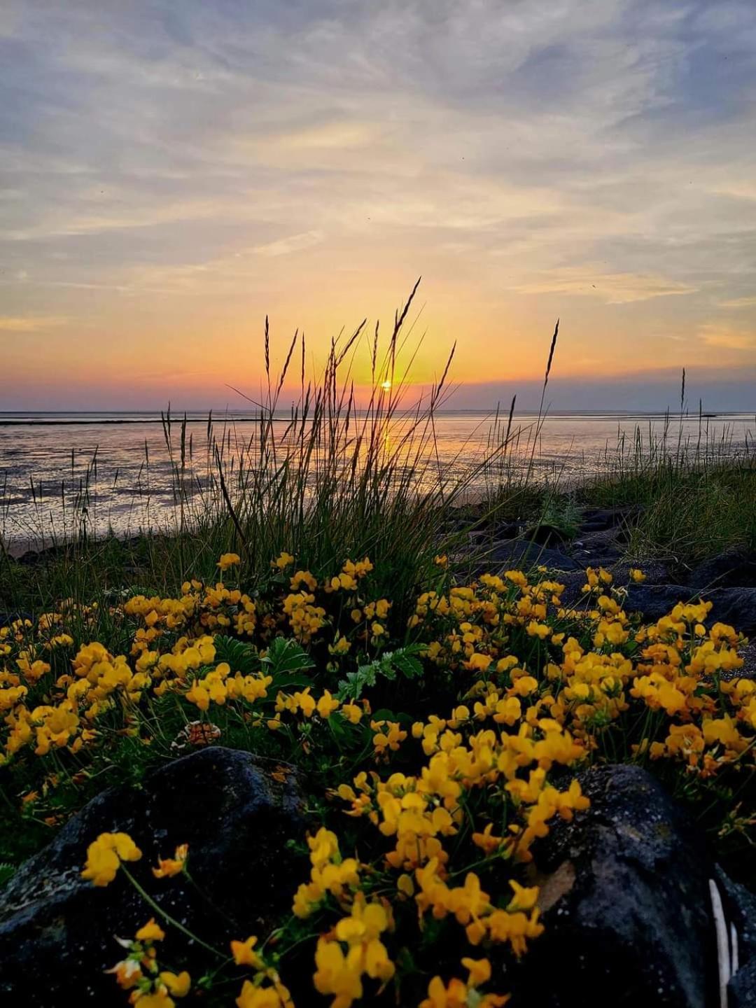 Ferienwohnung Joanna Norddeich  Exteriér fotografie